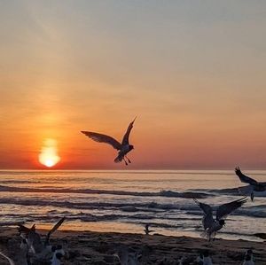 Meet your Posher, Fly